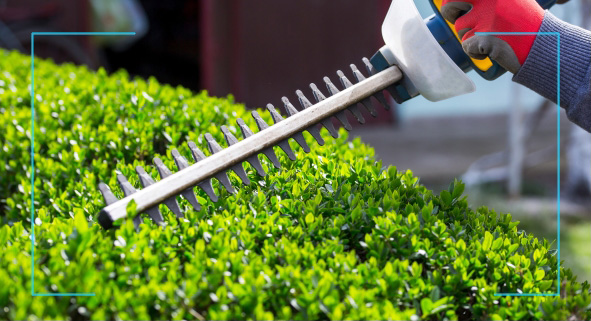 hedge trimmer